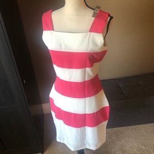 💃John Miller NWT Pink & White Stripe Knee Length Dress Size 6⭐️